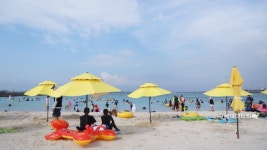 제주도 월정리 카페거리 기념품샵