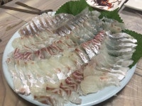 남해 독일마을 맛집, 회와 멸치쌈밥이 맛있는 몽돌횟집 (몽돌식당)