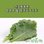 건강하려면 먹어야 할 먹거리 5가지