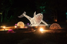 제주 조각공원 포레스트판타지아 화려한 야경 테마파크 야간 관람