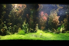 제주 아쿠아플라넷 아쿠아리움 바다를 옮긴 수족관과 마린사이언스