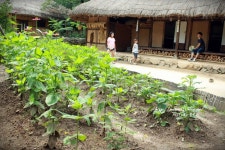 용인 한국민속촌의 사계(1년 참 즐거웠당.)