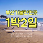 부산 가볼만한곳 벡스코.광안리 해수욕장.기장어촌체험마을 1박2일 겨울여행