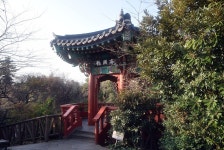 [제주 오메기떡] 효리네민박 명원가떡집