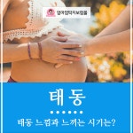 태동 느낌 느끼는 시기 언제부터?