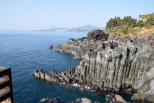 [서귀포 중문 맛집] 중문대들보