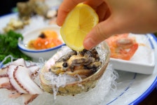 [제주도 횟집] 산지물식당