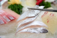 [제주도 횟집] 산지물식당