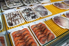 [제주 모슬포 맛집] 모슬포마라 수산시장