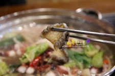 화정역 맛집 팔팔문어낙지볶음&탕 송년회장소 찜콩!