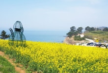 부안 여행 변산반도 달려봐?