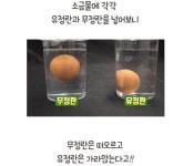 유정란과 무정란?