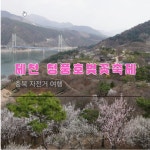 충북 가볼 만한 곳 제천 청풍호 벚꽃축제 봄꽃 대궐-자전거 여행 코스