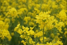 곰섬펜션 루나솔펜션에서 행복한 1박 2일