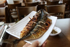 [제주시 통갈치조림 맛집] 신옛촌