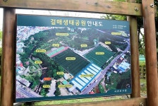 [서귀포 맛집 추천] 낚시갈치전문점