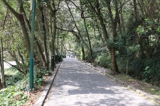 [제주 서귀포 맛집] 고랑몰랑화덕피자