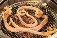 답십리맛집 쪽선생쪽갈비 꼼장어 냠냠