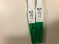 원포랑 유한임테기요