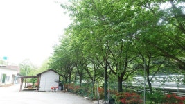 청평 민박 닭백숙도 즐겨요 다리유원지