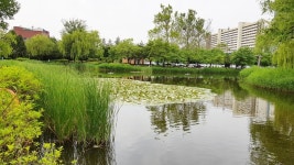 용산 가볼만한곳 용산가족공원