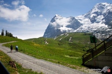 스위스 융프라우 하산 길에서~