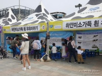 우유의 날 & 국내산 치즈페스티벌 일산문화공원 도심속 목장 나들이