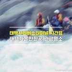 태백 시외버스터미널 시간표-강원도 태백 가볼만한곳 관광명소 소개