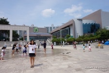 가족뮤지컬 추천 캣조르바 : 피타의 퍼즐