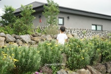 제주 펜션 동쪽 숙소!!스테이대흘 독채펜션 강츄츄