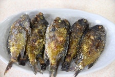 모슬포돈방석８호점 | [제주 모슬포 맛집] 돈지식당