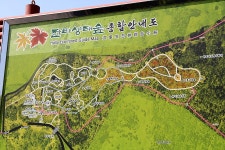 [제주시 맛집] 돈미가