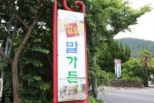 [제주도 말고기 맛집] 정우말가든