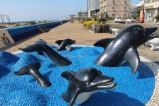 [제주도 카페] 팔롬비니