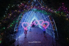 10월 제주도 여행 추천코스 허브동산