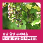 경남 함양 맛집 하미앙 와인밸리-테마농원