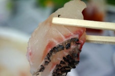 [제주 모슬포 맛집] 모슬포마라수산시장