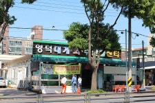 [제주 노형동 맛집] 영덕대게