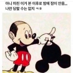 미키마우스의 실체