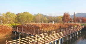 논산 가볼만한 곳 탑정호 수변생태공원_지난가을 논산에서의 산책