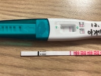 원포가 맞을까요? 얼리가 맞을까요?