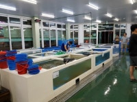 대전활어회 대전중구 신화수산 활어회센타