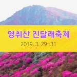 영취산 진달래축제 2019 일정/개화현황 여수 봄 여행지
