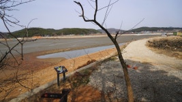 대부해솔길 3코스&고래숲캠핑장,대부도 여행 2019 올해의 관광도시 안산