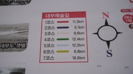 대부해솔길 3코스&고래숲캠핑장,대부도 여행 2019 올해의 관광도시 안산