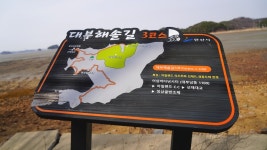 대부해솔길 3코스&고래숲캠핑장,대부도 여행 2019 올해의 관광도시 안산