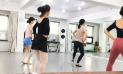 강남 취미발레 일기- 중급반 청강 했다요