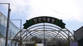 경기도 가볼만한곳 안산 여행 코스 노적봉폭포공원.안산식물원/페달로 자전거라이딩(2019 올해의관광도시 안산)