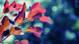 삶의 언저리에서