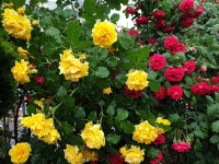 울집엔 지금이....